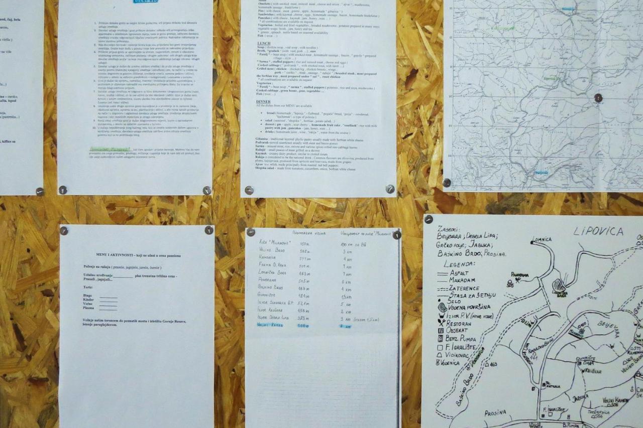 בית הארחה דספוטובאץ 	Eco Farm Milanovic מראה חיצוני תמונה