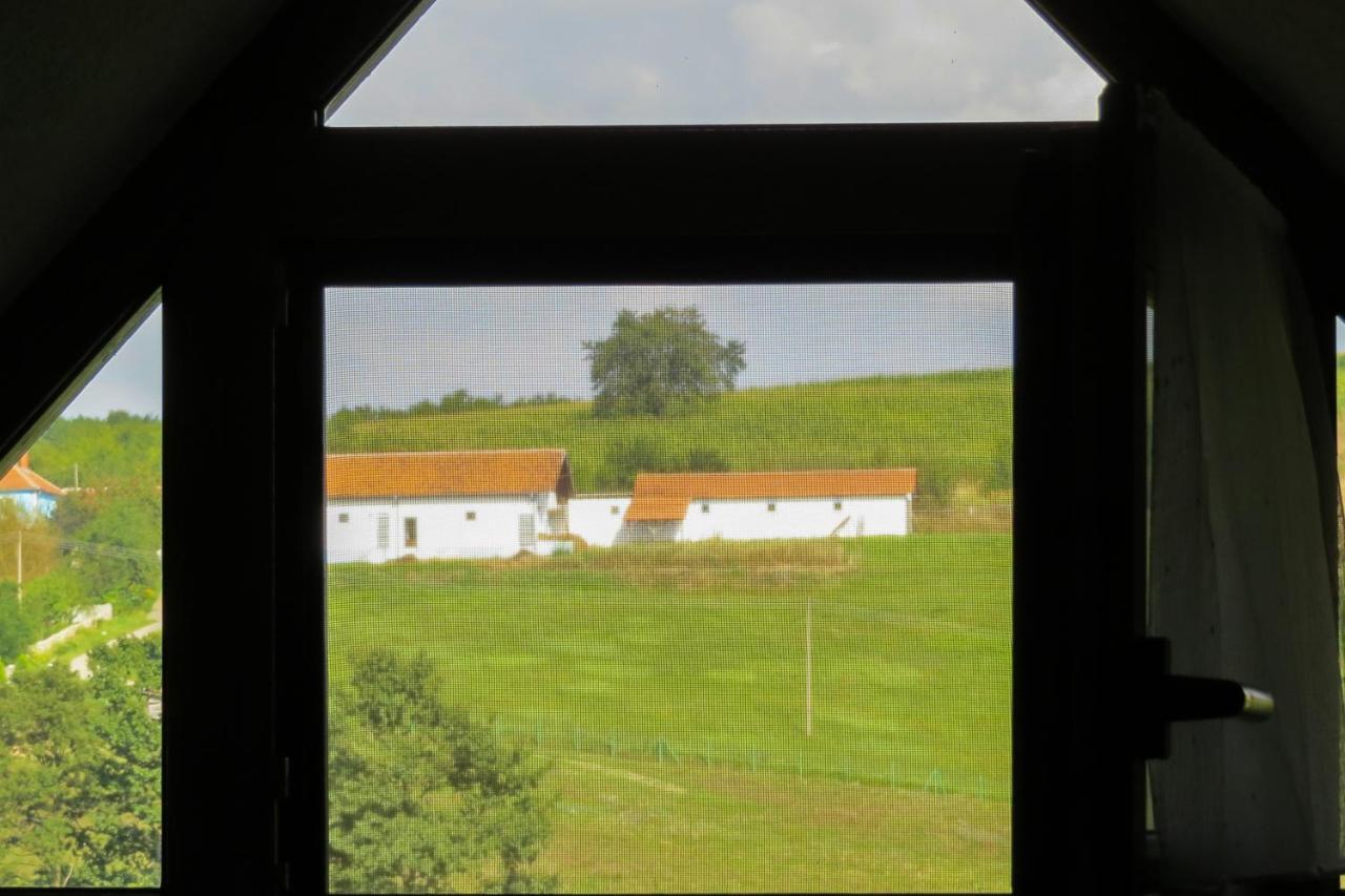 בית הארחה דספוטובאץ 	Eco Farm Milanovic מראה חיצוני תמונה