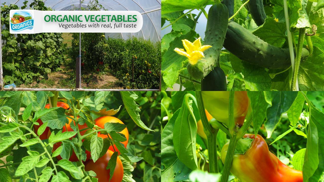 בית הארחה דספוטובאץ 	Eco Farm Milanovic מראה חיצוני תמונה