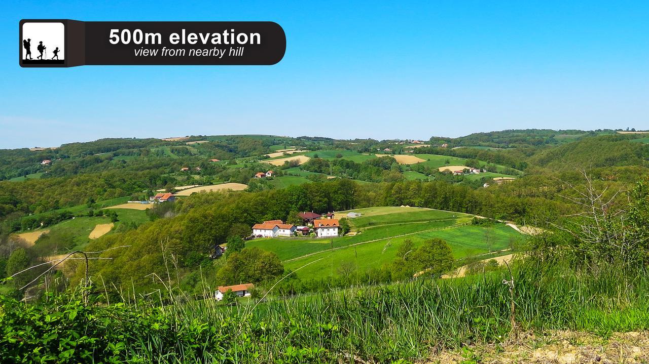 בית הארחה דספוטובאץ 	Eco Farm Milanovic מראה חיצוני תמונה